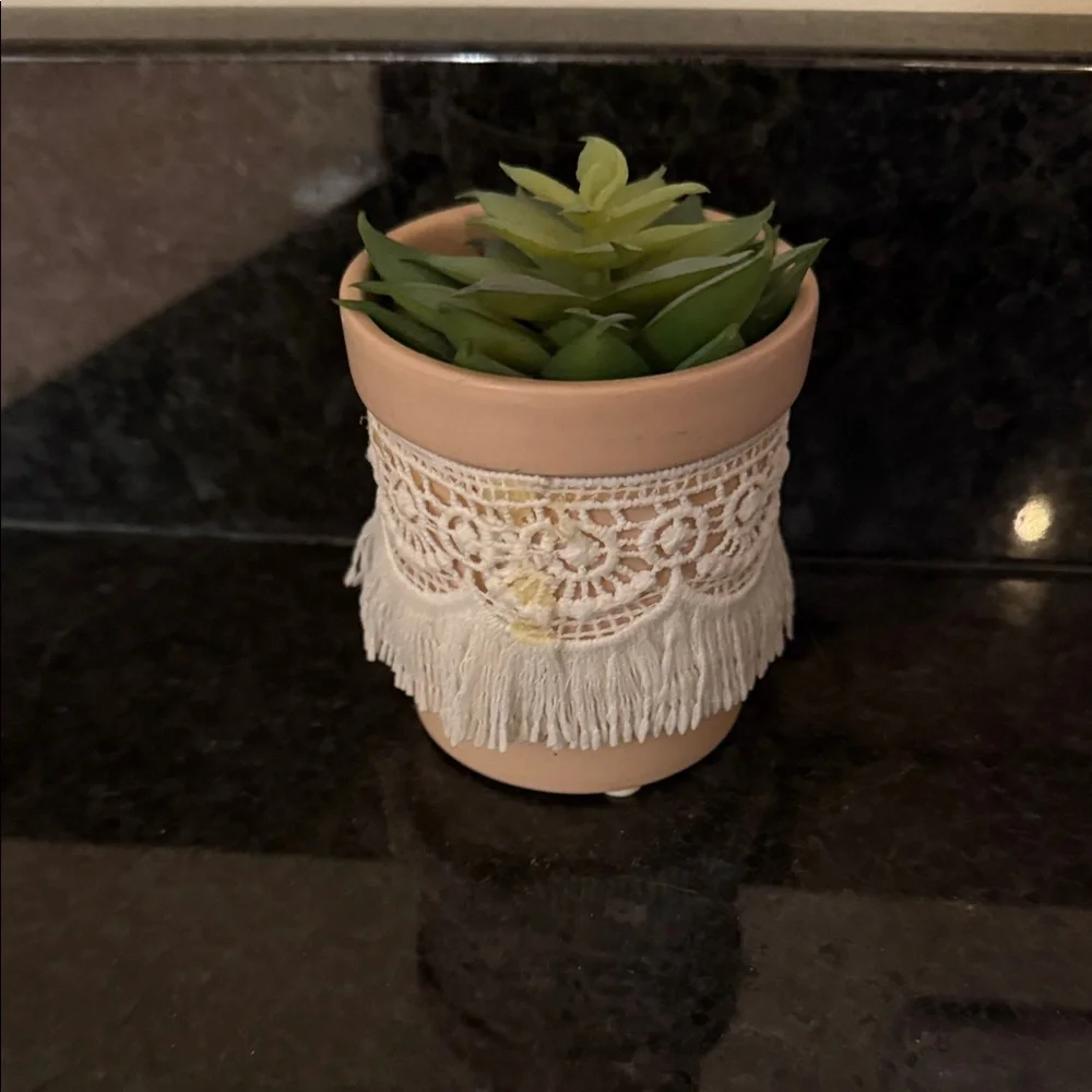 Two fake succulent plants in pots home or dorm decor